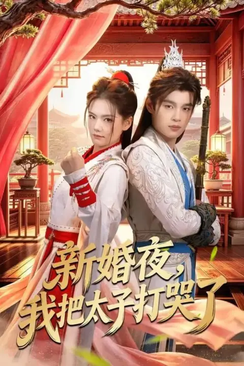 《新婚夜,我把太子打哭了》封面