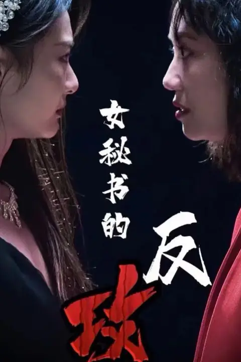 《女秘书的反攻》封面