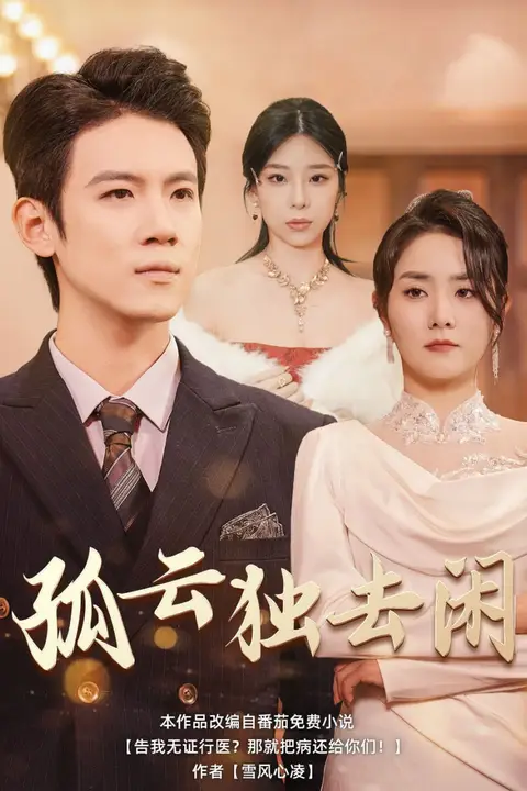 《孤云独去闲》封面