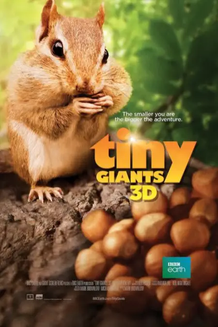 《小巨人 3D》封面