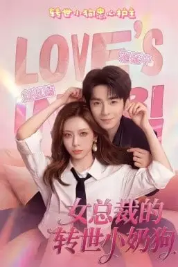 《女总裁的转世小奶狗》封面