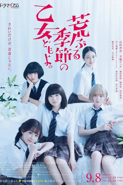 《骚动时节的少女们啊》封面