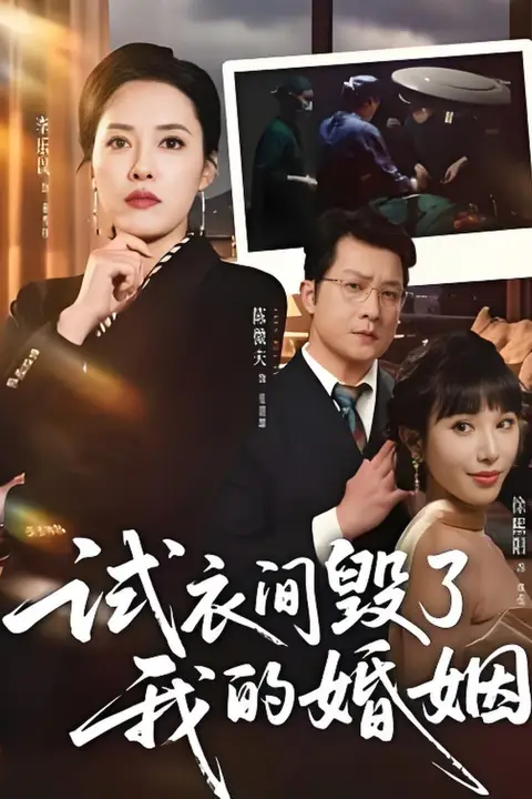 《试衣间毁了我的婚姻》封面