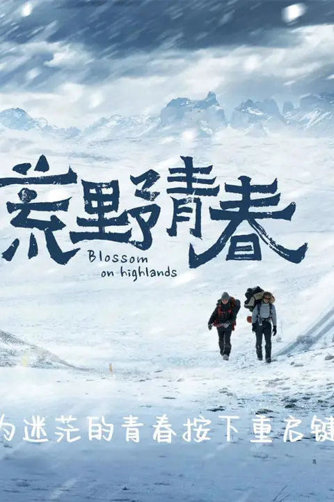 《荒野青春》封面