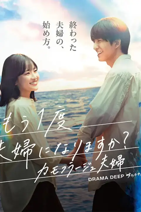 《要再做一次夫妇吗?~伪装夫妇》封面