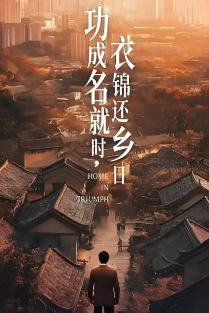 《功成名就时衣锦还乡日》封面