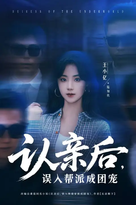 《认亲后,误入帮派成团宠》封面