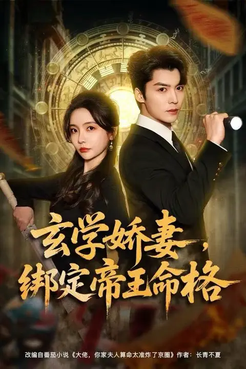 《玄学娇妻,绑定帝王命格》封面