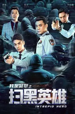 《扫黑英雄》封面