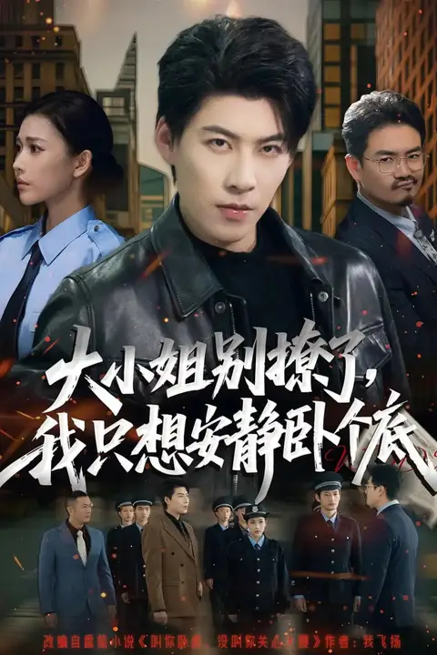 《大小姐别撩了，我只想安静卧个底》封面