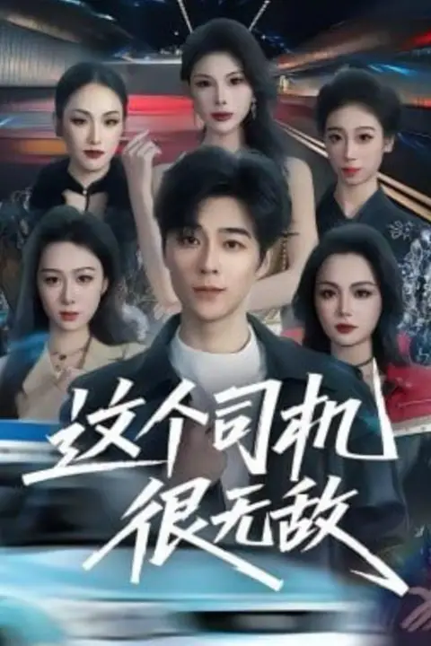 《这个司机很无敌》封面