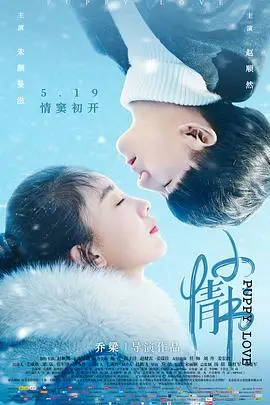 《小情书》封面