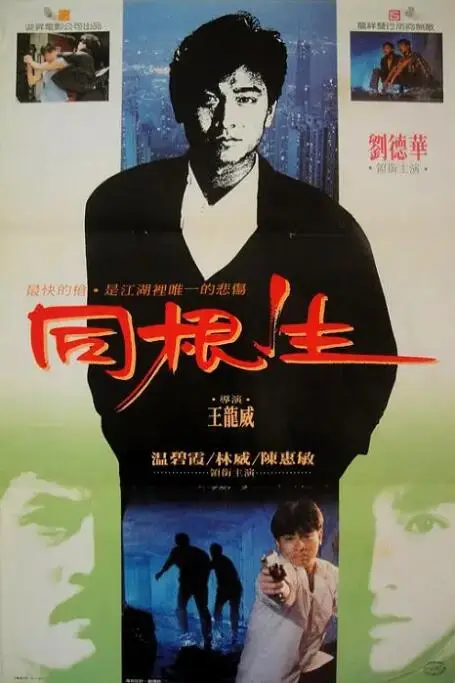 《同根生》封面