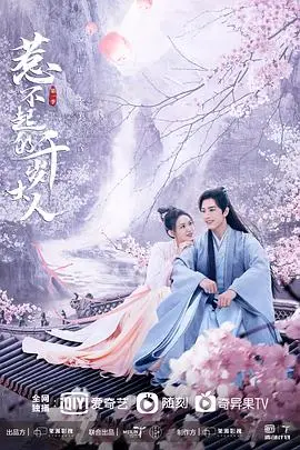 《惹不起的千岁大人》封面