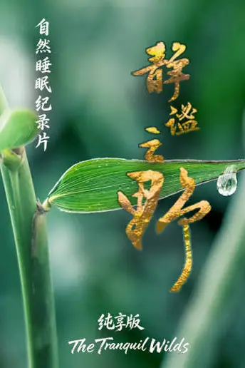 《静谧之野 纯享版》封面