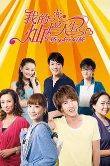 《我的灿烂人生》封面