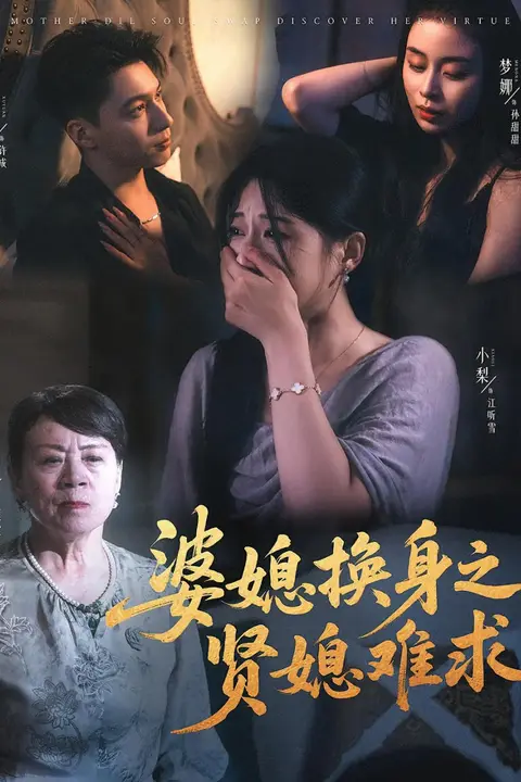 《婆媳换身之贤媳难求》封面