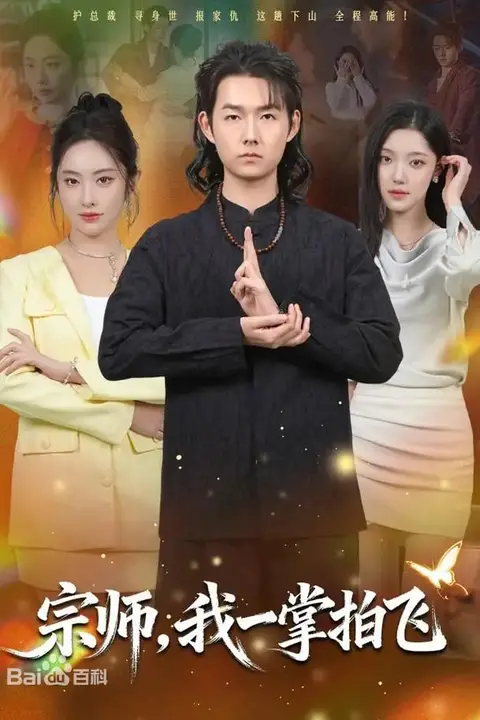 《宗师，我一掌拍飞》封面