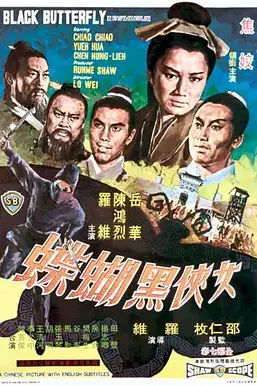 《女侠黑蝴蝶》封面