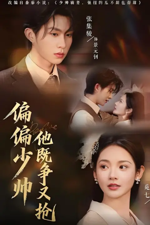 《偏偏少帅他既争又抢》封面