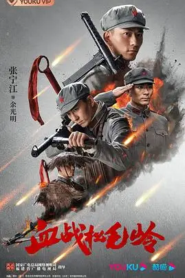 《血战松毛岭》封面