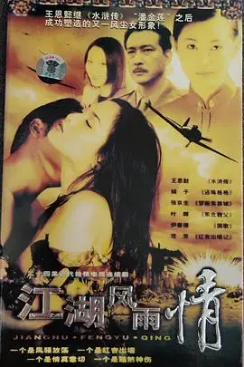 《江湖风雨情》封面