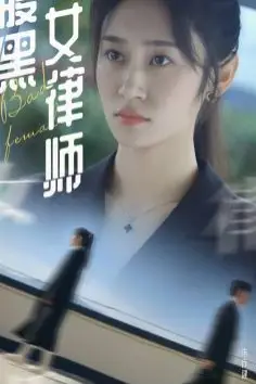 《腹黑女律师》封面