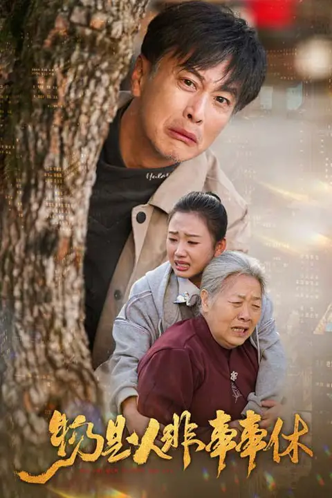 《物是人非事事休》封面