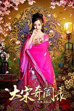 《大宋奇闻录》封面