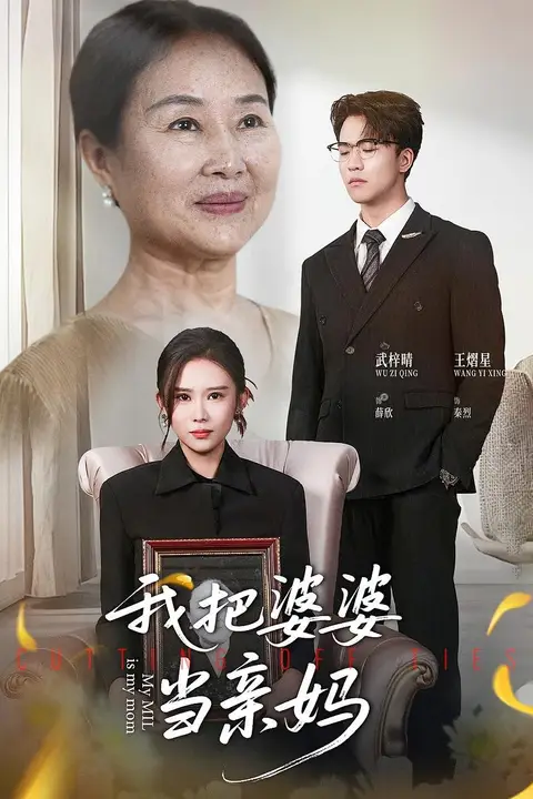《我把婆婆当亲妈》封面