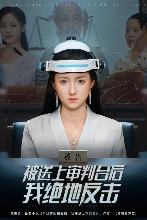 《被送上审判台后我绝地反击》封面