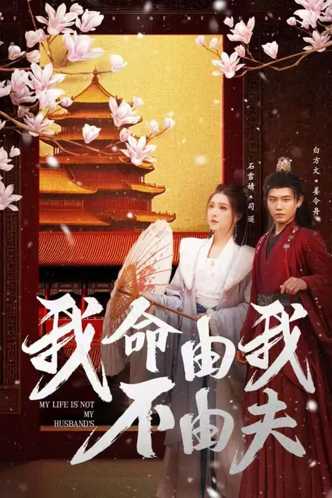 《我命由我不由夫》封面
