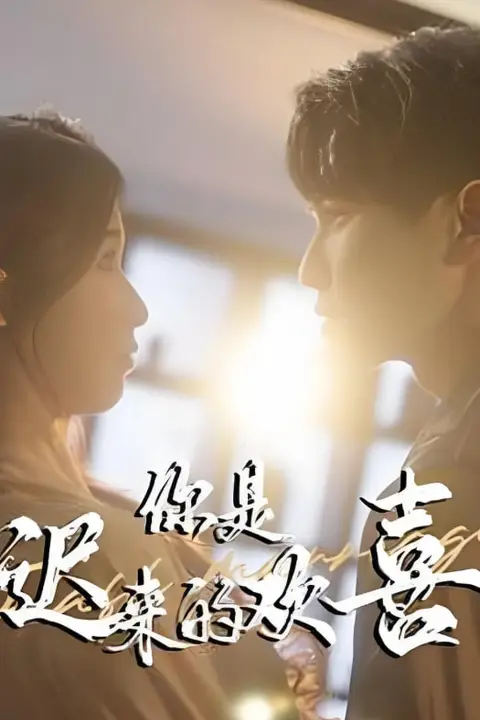 《你是迟来的欢喜》封面