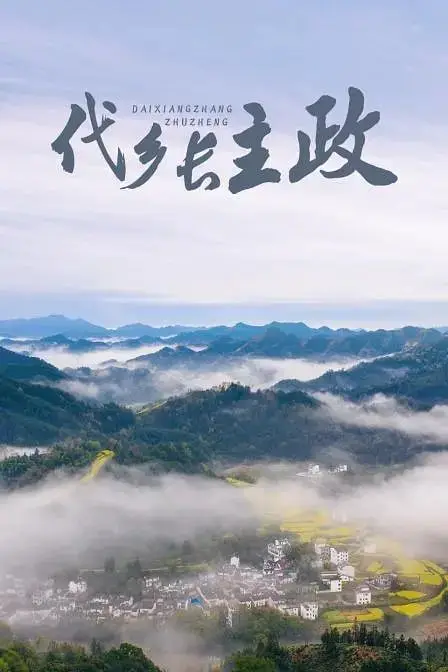 《代乡长主政 2011》封面
