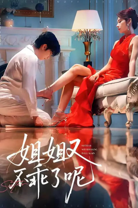 《姐姐又不乖了呢》封面