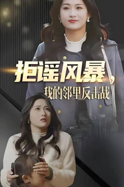 《拒谣风暴我的邻里反击战》封面