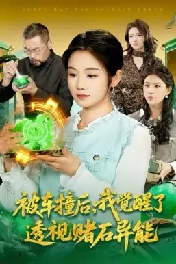 《被车撞后,我觉醒了透视赌石异能了》封面