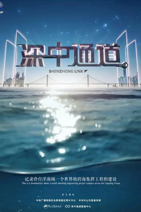 《深中通道》封面
