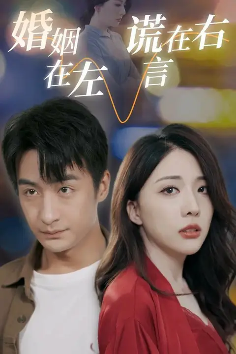 《婚姻在左谎言在右》封面