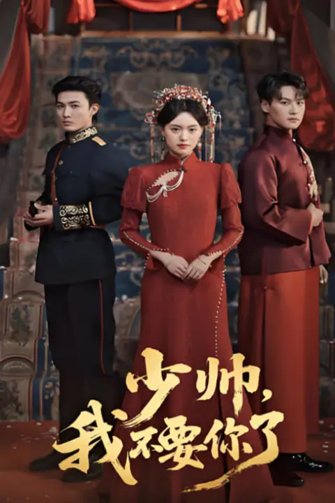 《少帅我不要你了》封面