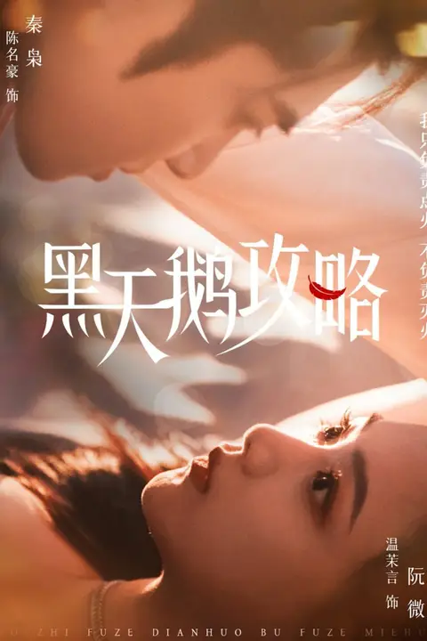 《黑天鹅攻略》封面