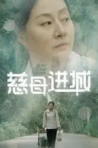《慈母进城》封面