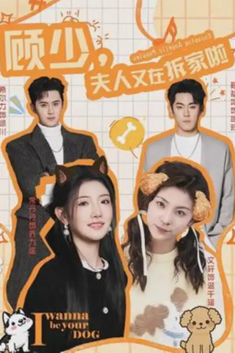 《顾少，夫人又在拆家啦》封面