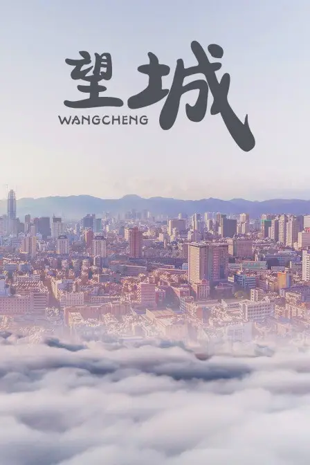 《望城》封面