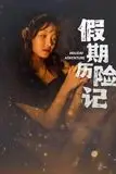 《假期历险记》封面