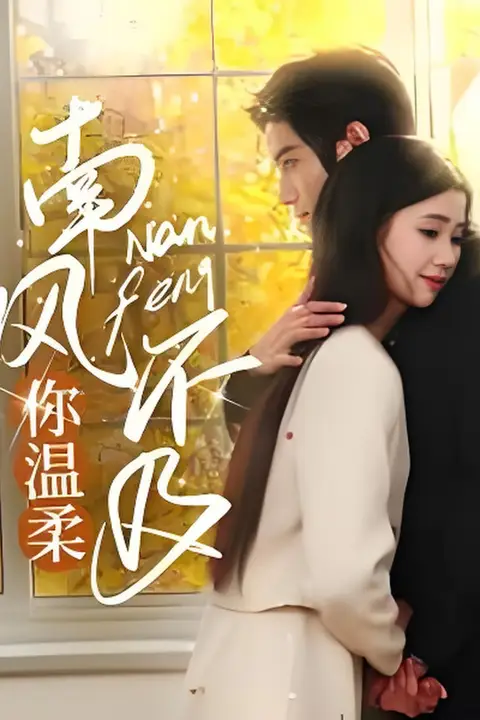 《南风不及你温柔》封面