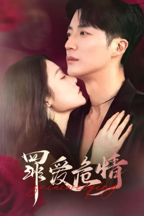 《罪爱危情》封面