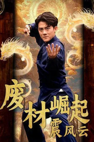 《废材崛起震风云》封面