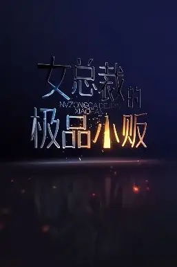 《女总裁的极品小贩》封面
