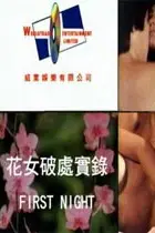 《花女破处实录》封面